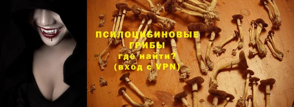 mdpv Беломорск
